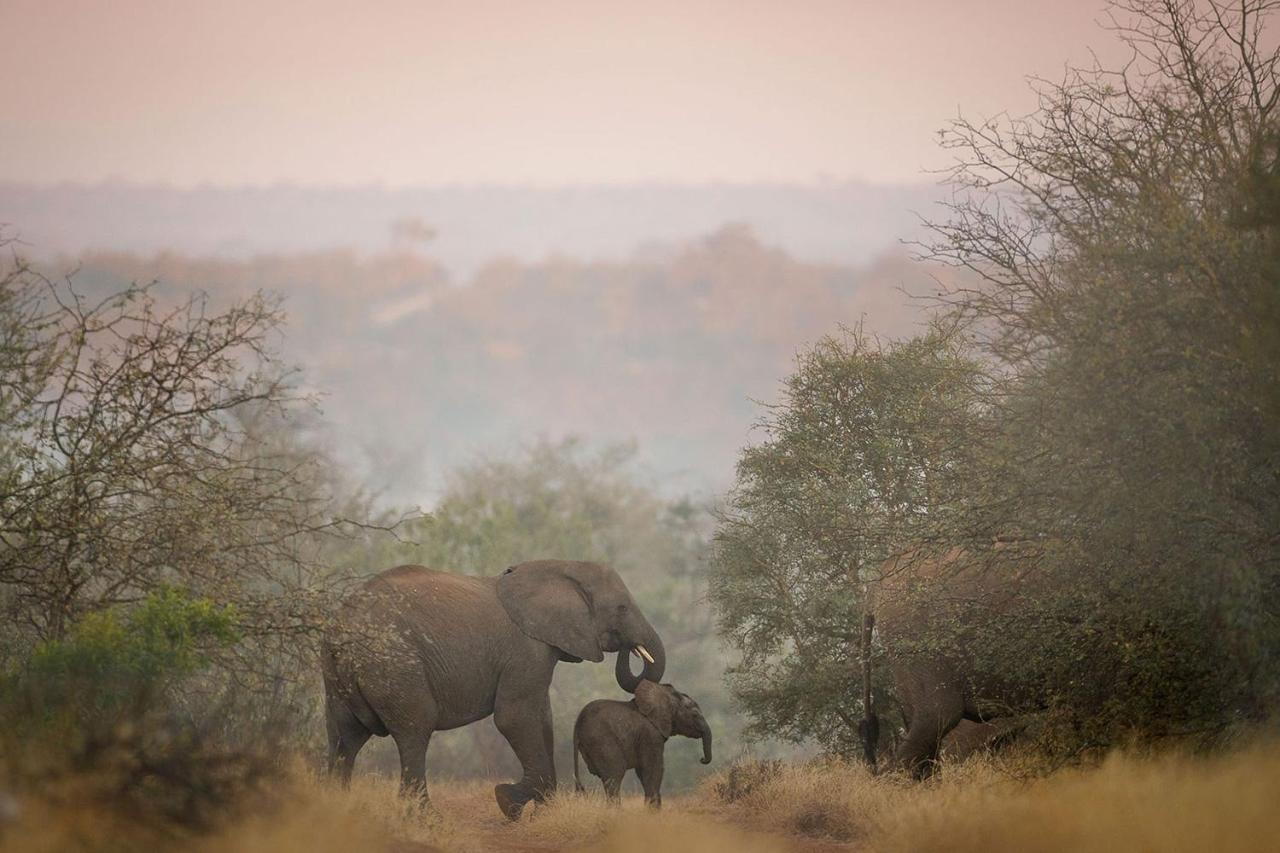 Tanda Tula Safari Camp Villa Timbavati Game Reserve Bagian luar foto