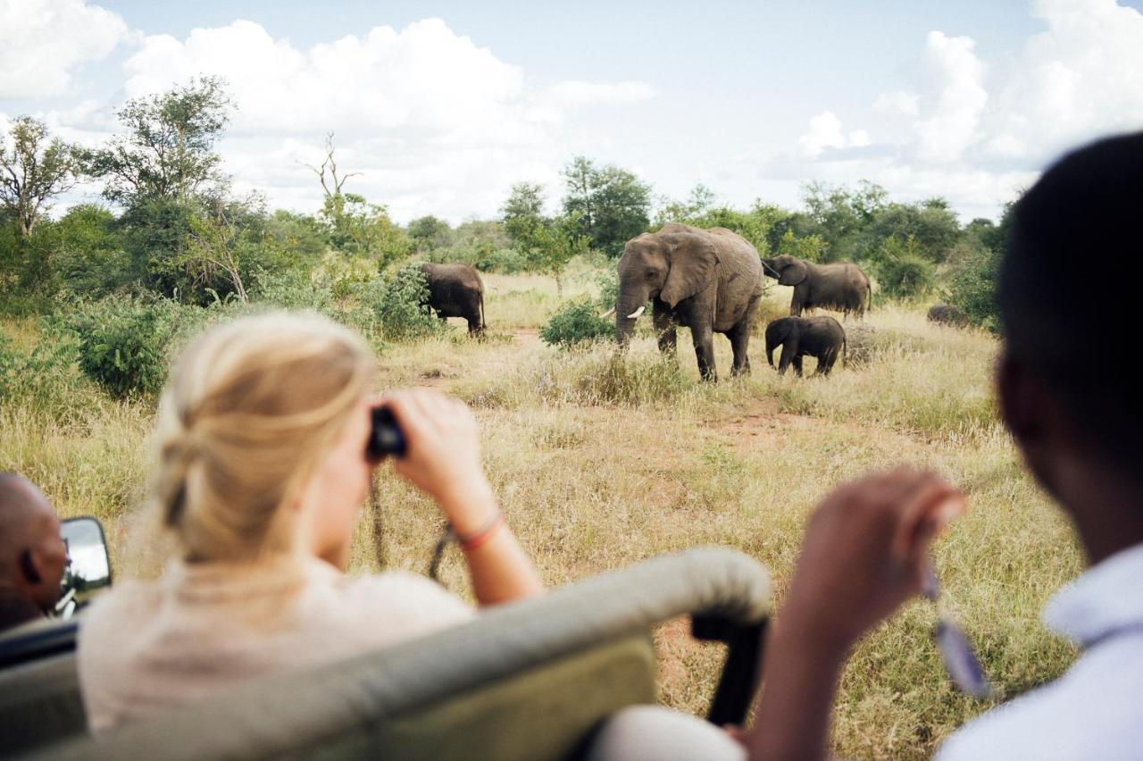 Tanda Tula Safari Camp Villa Timbavati Game Reserve Bagian luar foto