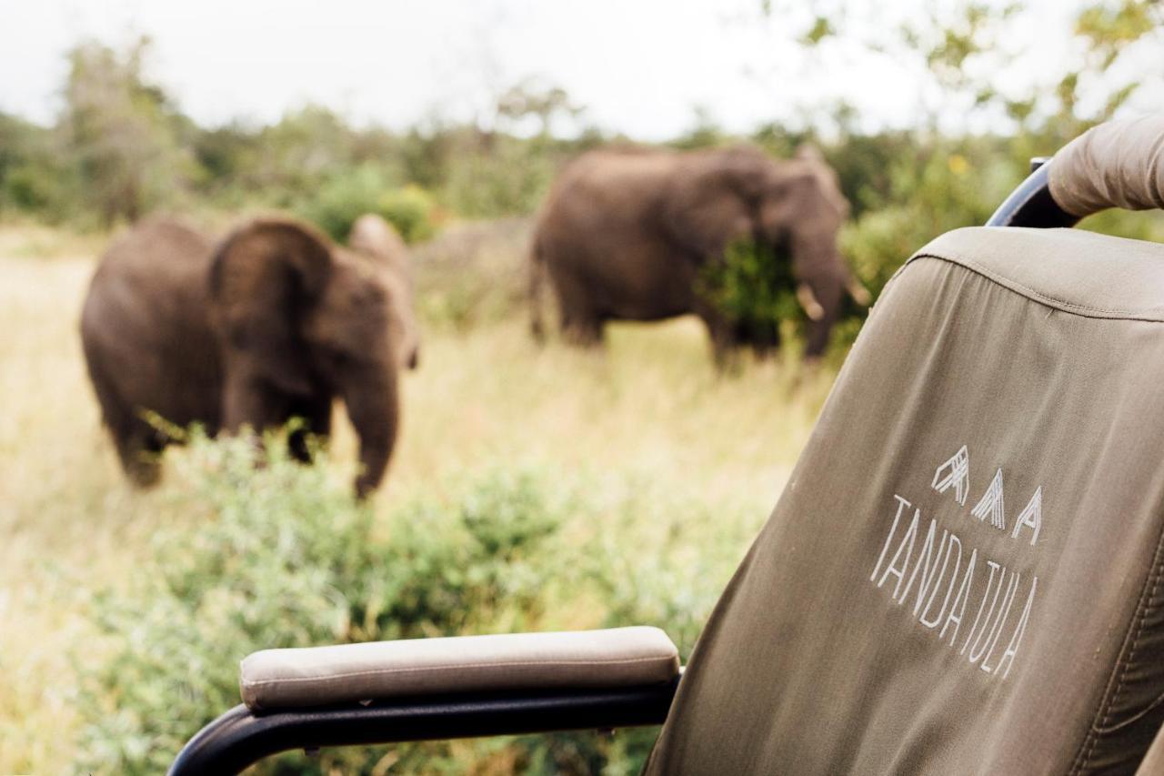 Tanda Tula Safari Camp Villa Timbavati Game Reserve Bagian luar foto